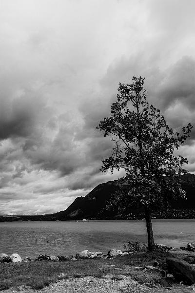 2017_06_06 (0021).jpg - Lac d'Annecy, Sévrier (Juin 2017)